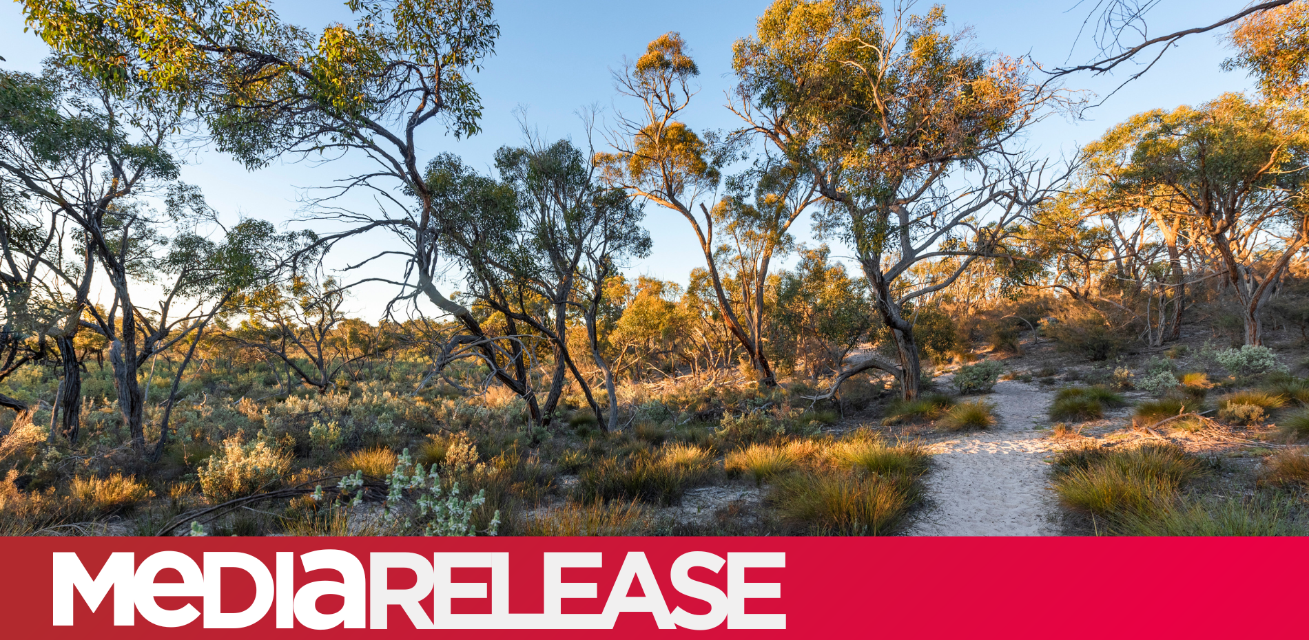 FASTER INTERNET FOR REGIONAL VICTORIA Main Image